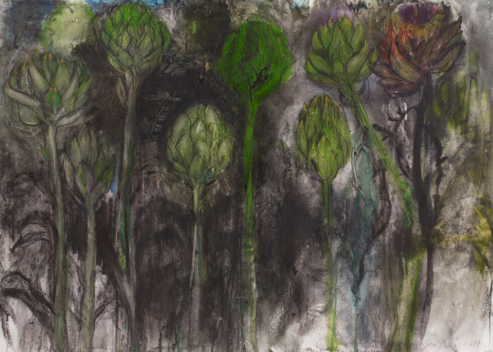 Botanical drawing by Jim Dine