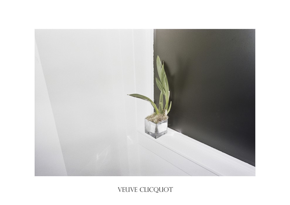 Veuve Clicquot
