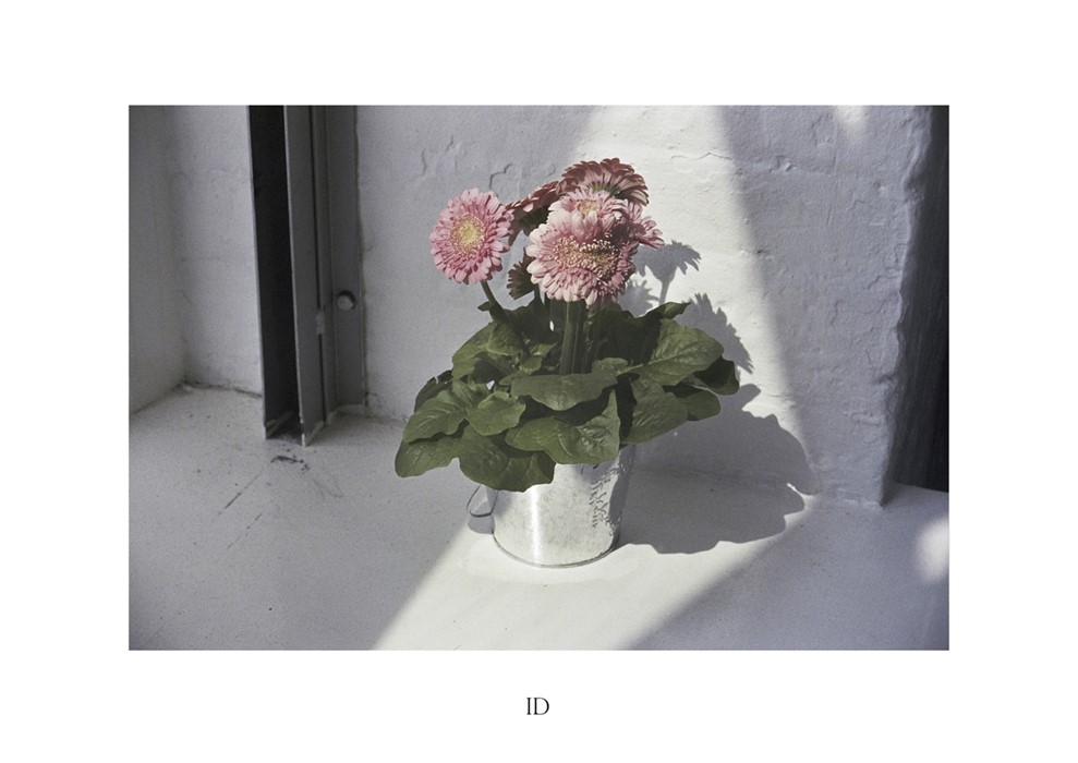 i-D