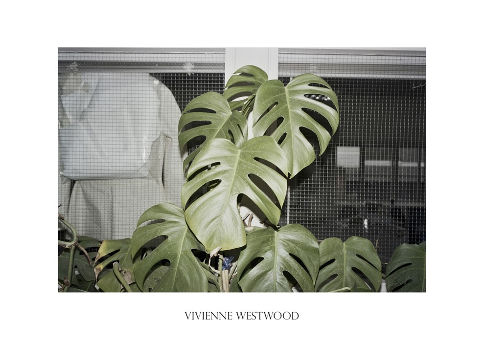 Vivienne Westwood