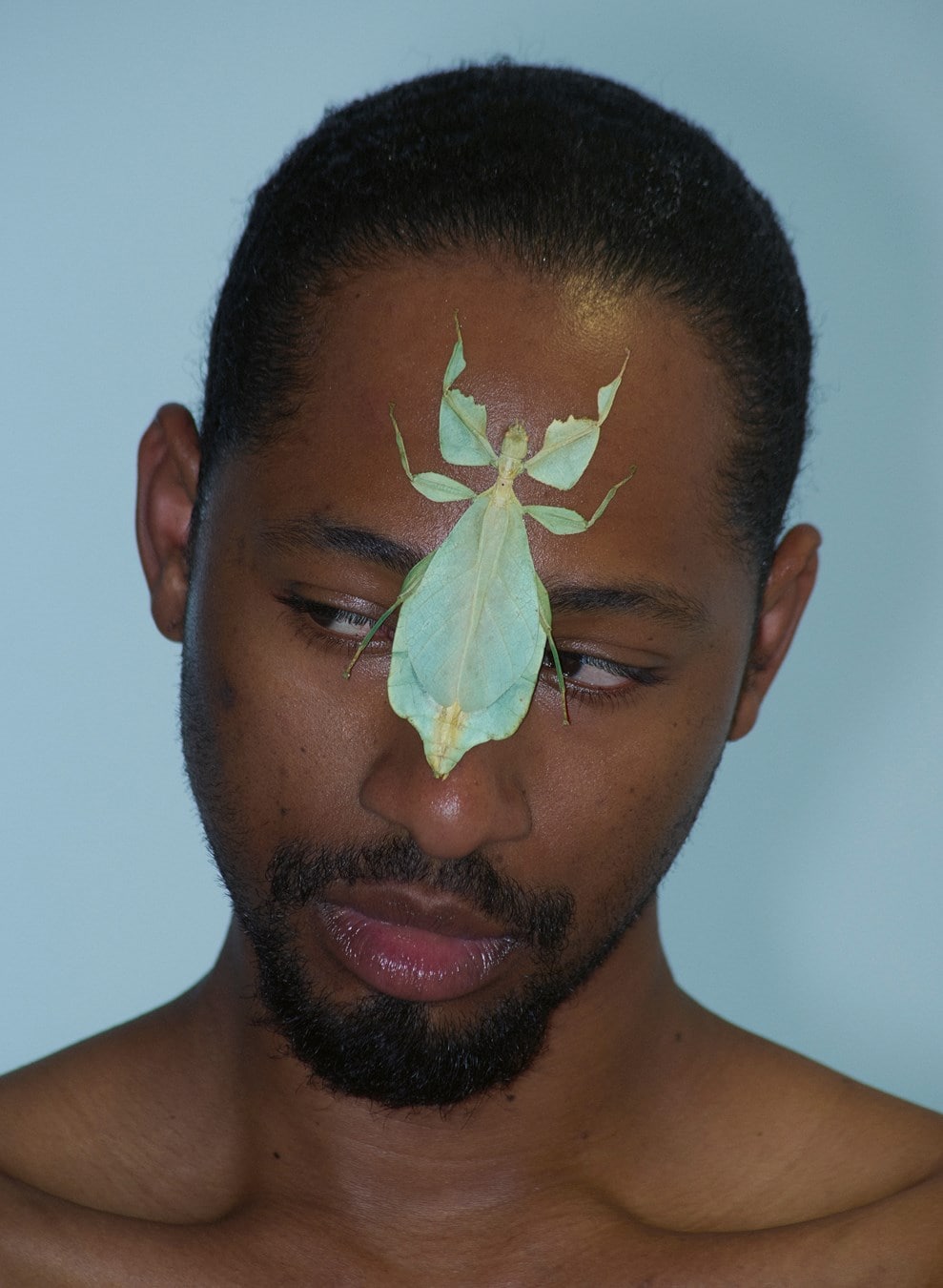 Masculine Mystique
