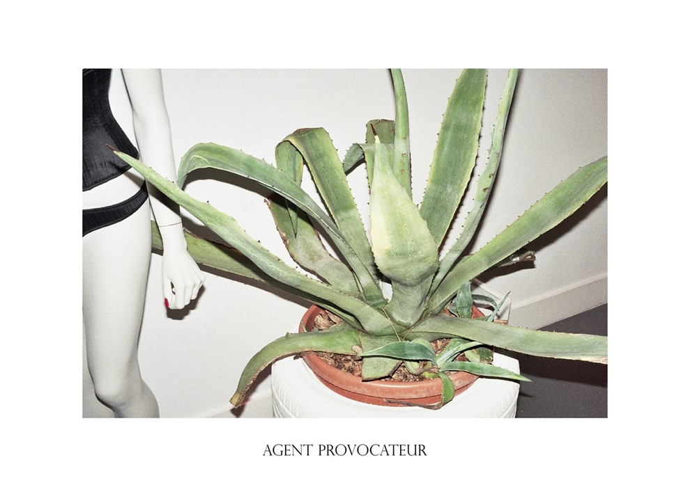 Agent Provocateur