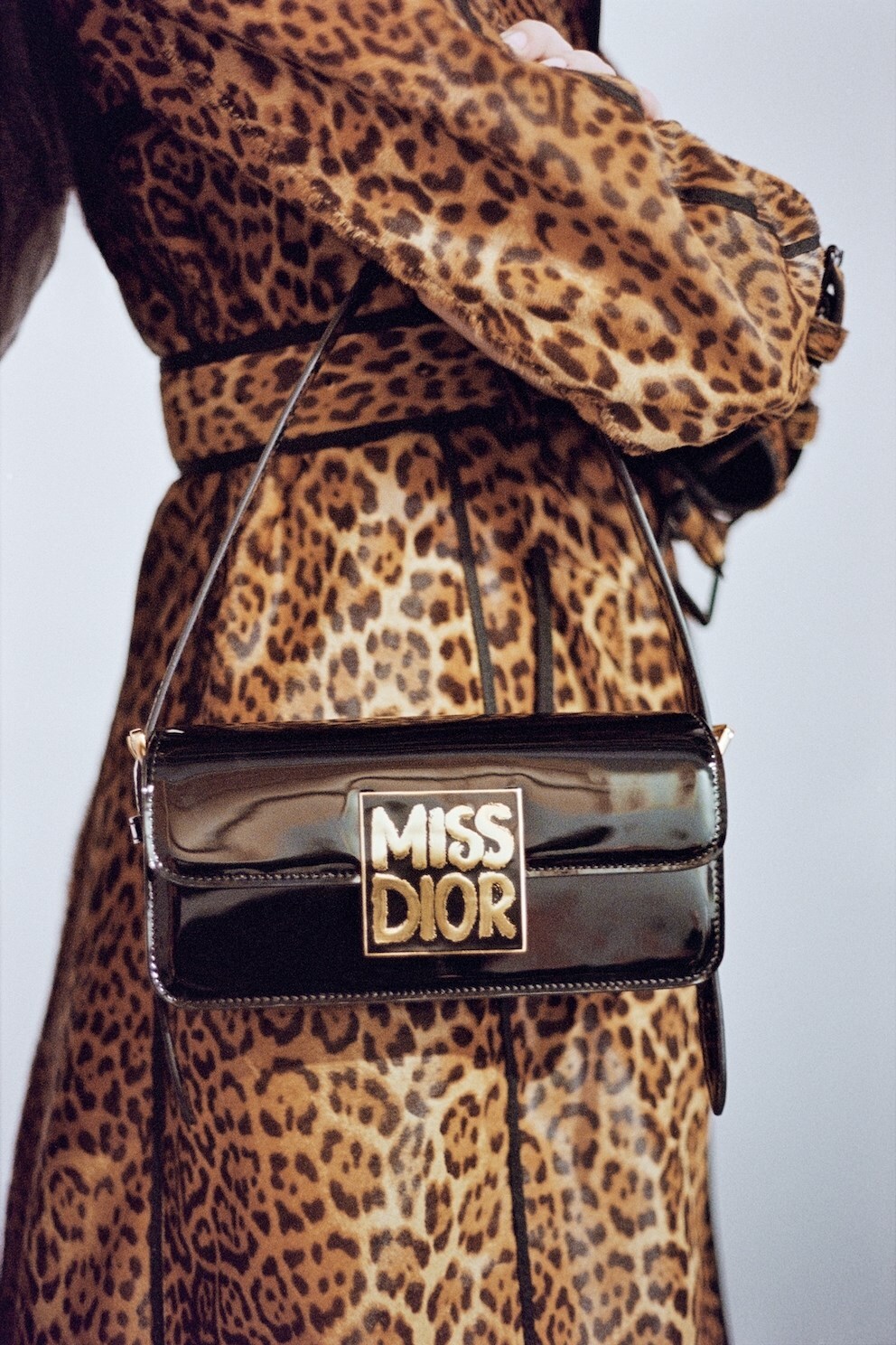 Dior Autumn/Winter 2024
